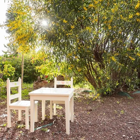 Ferienhaus Home2book Breathtaking Teide View & Terrace El Sauzal