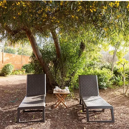 Home2book Breathtaking Teide View & Terrace * Sauzal