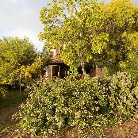 Home2book Breathtaking Teide View & Terrace Feriehus *